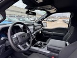 New 2025 Ford F150 XLT w/ Equipment Group 302A MID image 4