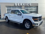New 2025 Ford F150 XLT w/ Equipment Group 302A MID image 4