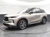 New 2025 INFINITI QX60 Autograph w/ Cargo Package image 3