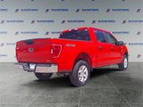 Used 2023 Ford F150 XLT image 5