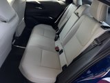 New 2026 Toyota Prius XLE image 5