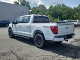 New 2025 Ford F150 XLT w/ Equipment Group 302A MID image 5