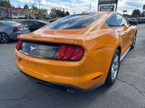 Used 2019 Ford Mustang Coupe image 4