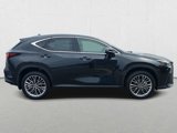 New 2025 Lexus NX 350 AWD w/ Accessory Package (2T) image 4
