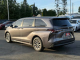 Used 2023 Toyota Sienna LE image 6