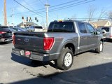 Used 2023 Ford F150 XLT image 4