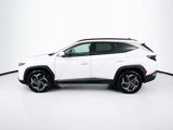 Used 2024 Hyundai Tucson Limited image 4