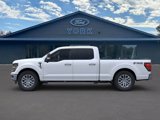 New 2025 Ford F150 XLT w/ Equipment Group 302A MID image 3