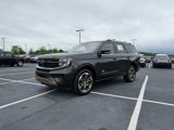 New 2025 Ford Expedition King Ranch image 3