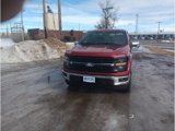 New 2025 Ford F150 XLT w/ Equipment Group 302A MID image 3