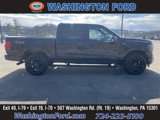 New 2025 Ford F150 Platinum image 5