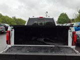 Used 2024 Ford F150 Tremor image 6