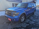 Used 2014 Ford F150 FX4 w/ Equipment Group 402A Luxury image 2