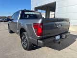 New 2025 Ford F150 STX w/ Equipment Group 200A image 3