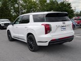 New 2025 Hyundai Palisade Calligraphy image 3