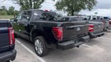 New 2025 Ford F150 Platinum image 4