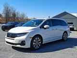 New 2025 Honda Odyssey Elite image 3