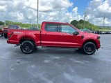 New 2025 Ford F150 XLT w/ Equipment Group 302A MID image 2