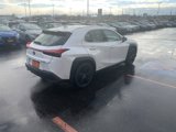 Used 2020 Lexus UX 250h w/ Luxury Package image 5