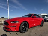 Used 2023 Ford Mustang Premium image 2