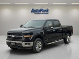 New 2025 Ford F150 XLT w/ Equipment Group 303A High image 3