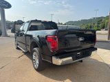 New 2025 Ford F150 XLT image 5