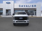 New 2025 Ford F250 Platinum image 6