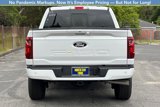 New 2025 Ford F150 XLT image 4