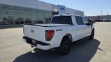 New 2025 Ford F150 XLT w/ Equipment Group 302A MID image 6