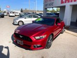 Used 2017 Ford Mustang Premium w/ Equipment Group 201A image 3
