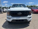 Certified 2023 Ford F150 XLT w/ Equipment Group 302A High image 2