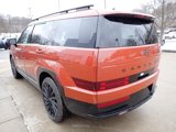 New 2025 Hyundai Santa Fe Calligraphy image 5