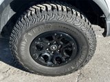 Used 2024 Ford Bronco Wildtrak image 5