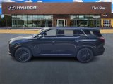 New 2025 Hyundai Palisade Calligraphy image 4