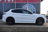 New 2025 Alfa Romeo Stelvio Tributo Italiano w/ Active Assist Plus Package image 2