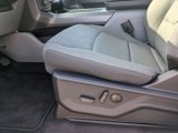 New 2025 Ford F150 XLT w/ Equipment Group 303A High image 3