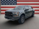 Used 2019 Ford F150 Raptor w/ Equipment Group 802A Luxury image 3