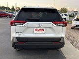 Certified 2024 Toyota RAV4 XLE Premium image 4