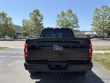 Used 2023 Ford F150 XLT w/ Equipment Group 302A High image 5