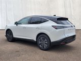 New 2025 Nissan Murano SL w/ Cargo Package image 3
