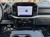 Certified 2023 Ford F150 XLT w/ Equipment Group 302A High image 2
