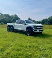 Used 2021 Ford F150 Raptor image 3