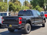 New 2025 Ford F250 Platinum w/ Tremor Off-Road Package image 3
