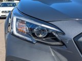 New 2025 Subaru Outback Wilderness image 6