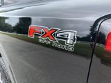 New 2024 Ford Ranger XLT w/ Technology Package image 6