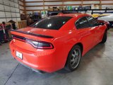 Used 2018 Dodge Charger SXT Plus w/ Blacktop Package image 5
