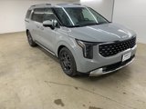 New 2026 Kia Carnival SX image 5