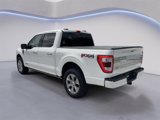 Used 2021 Ford F150 Platinum w/ Equipment Group 701A High image 5