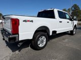 New 2025 Ford F250 XLT w/ F-250 >10K GVWR Package image 5