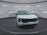 New 2025 Kia Carnival SX Prestige image 4